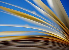Seiten eines Buches