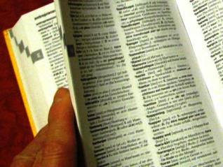 Franz�sisch-deutsches W�rterbuch